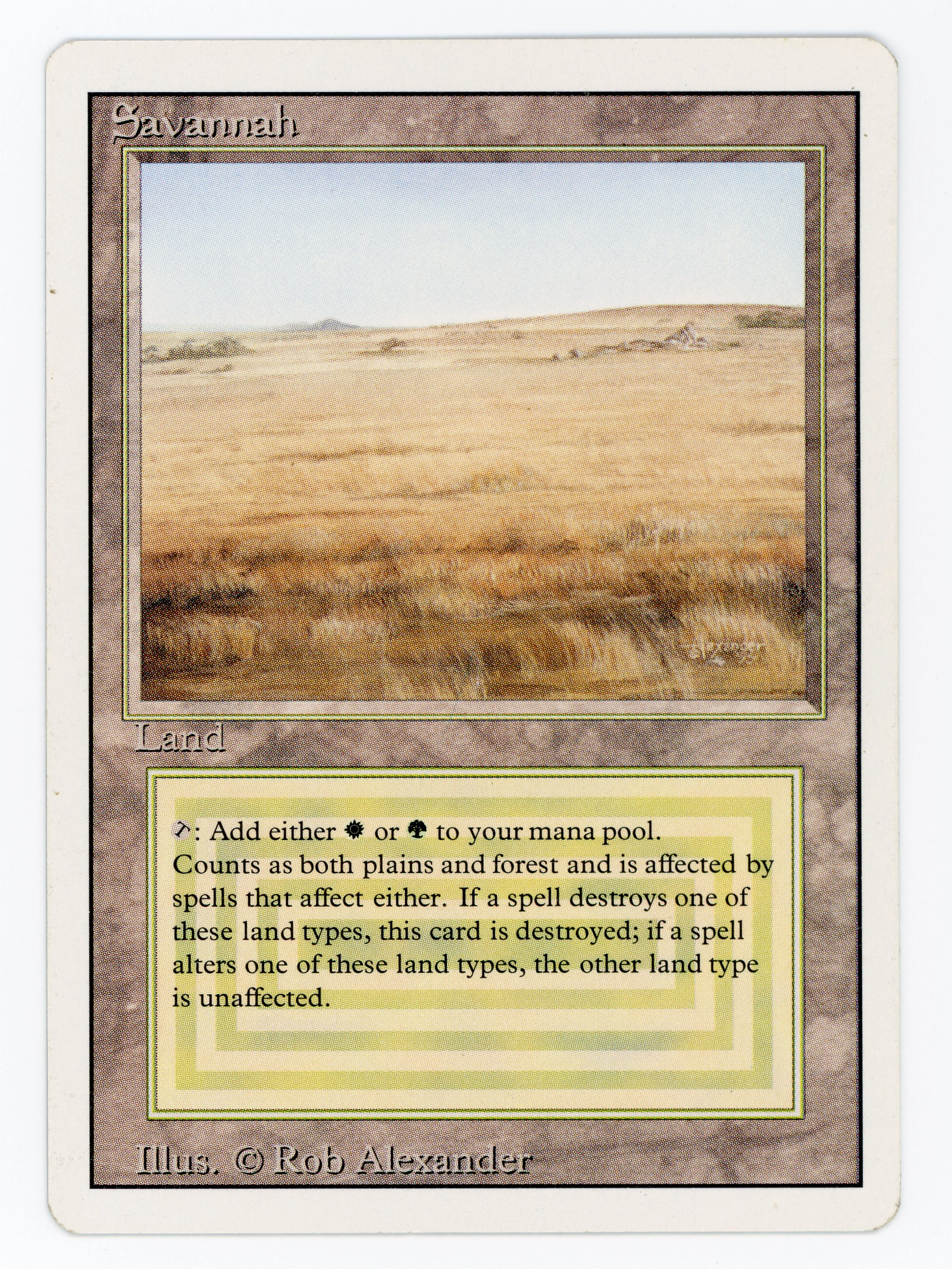 Savannah - Scan 15881