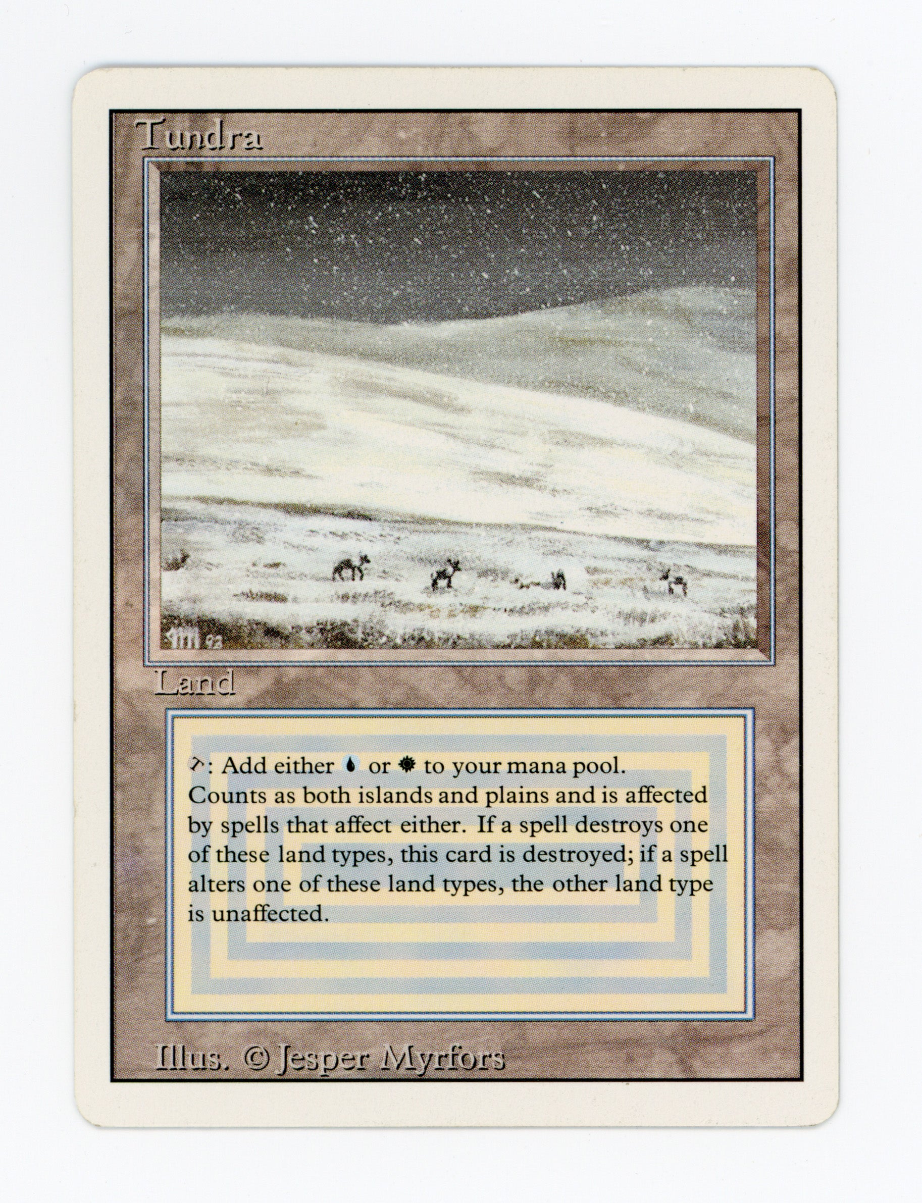 Tundra — ID 16869