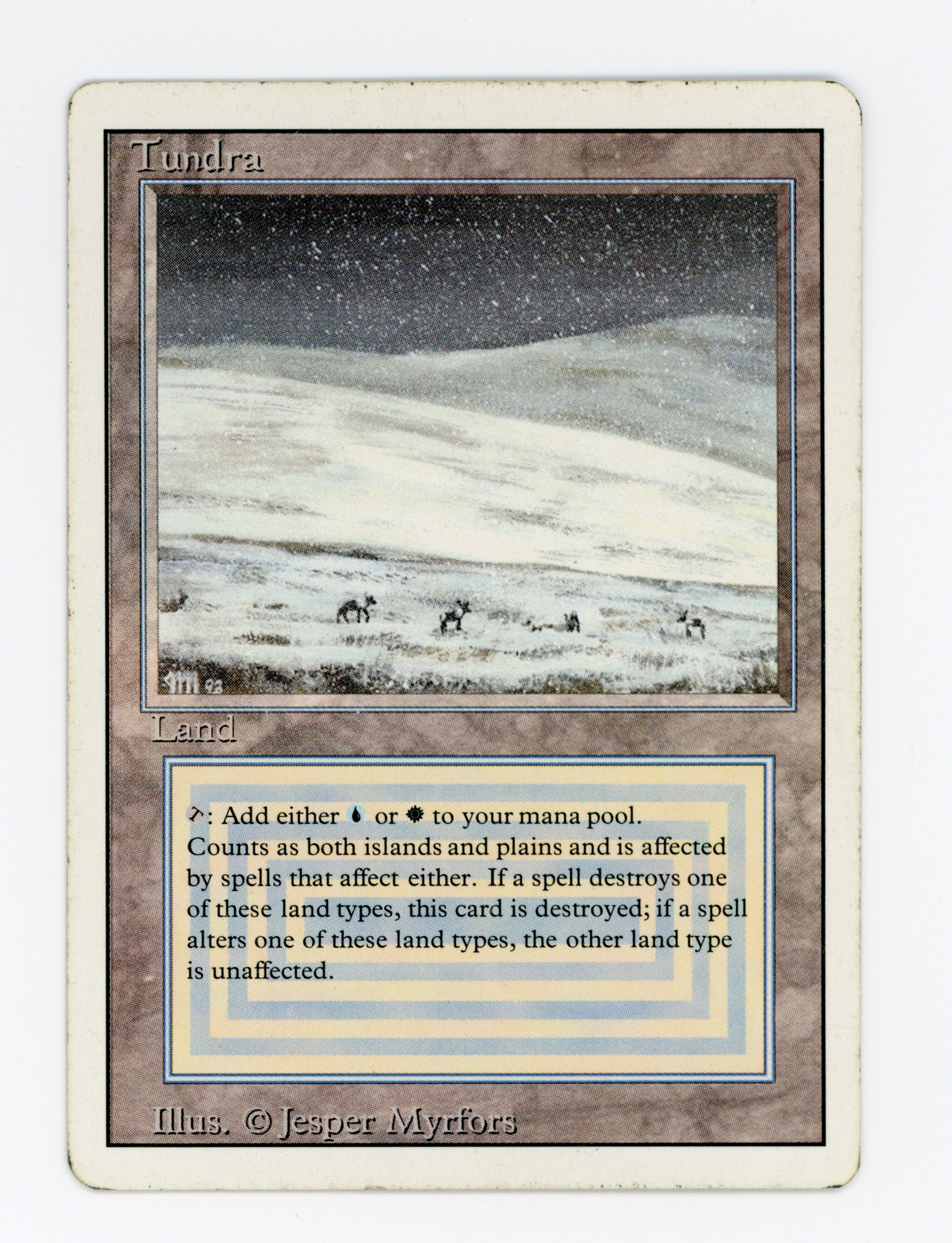 Tundra — ID 18259